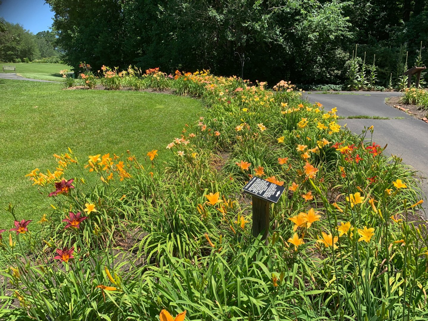 Meadowlark Botanical Gardens | Nova Parks